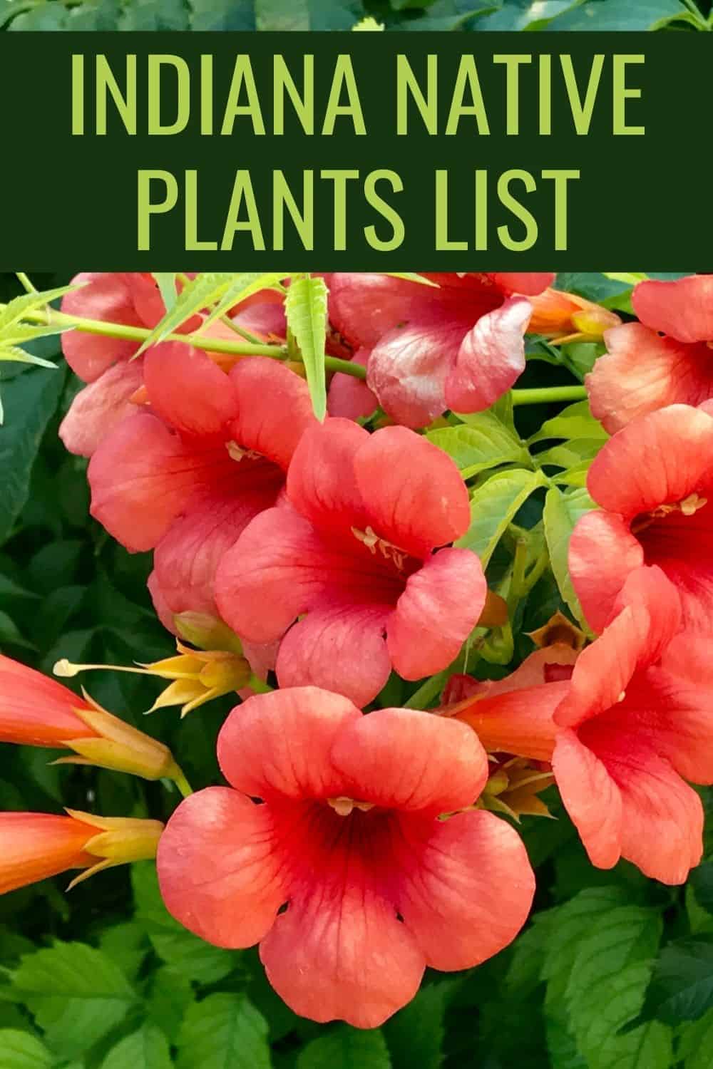 Indiana native plants list