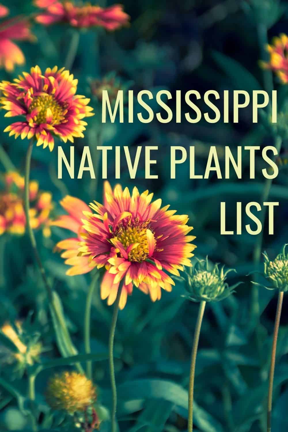 Mississippi native plants list