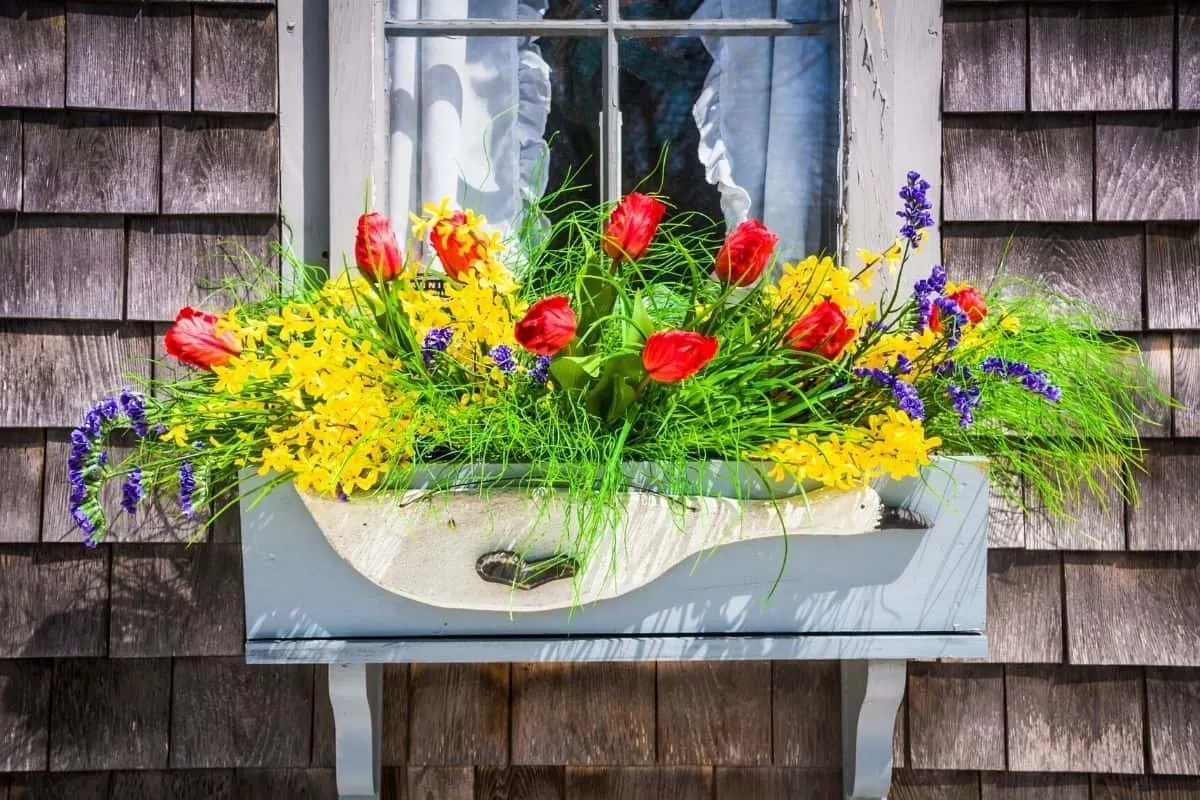 spring window box