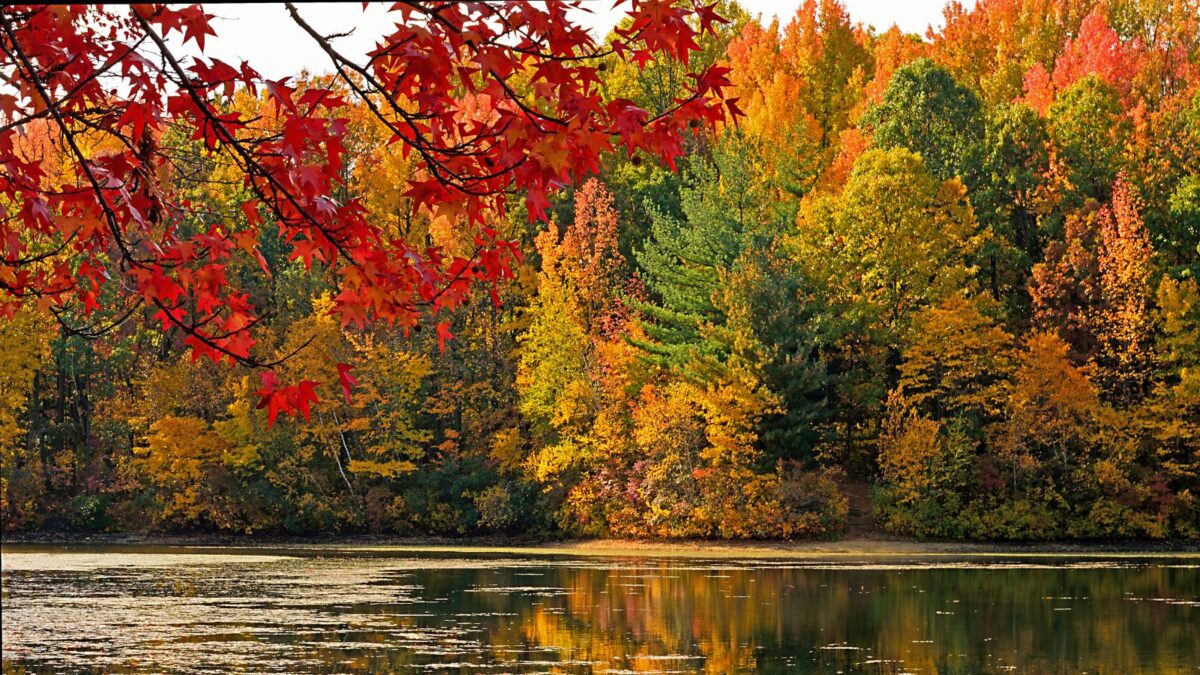 Autumn foliage at Dallenback Lakes in East Brunswick, New Jersey.