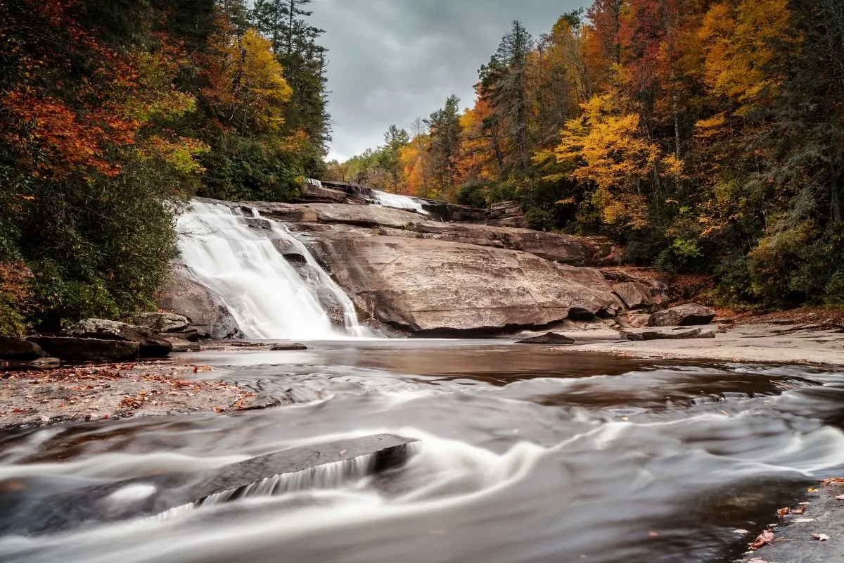 Dupont State Forest in the fall