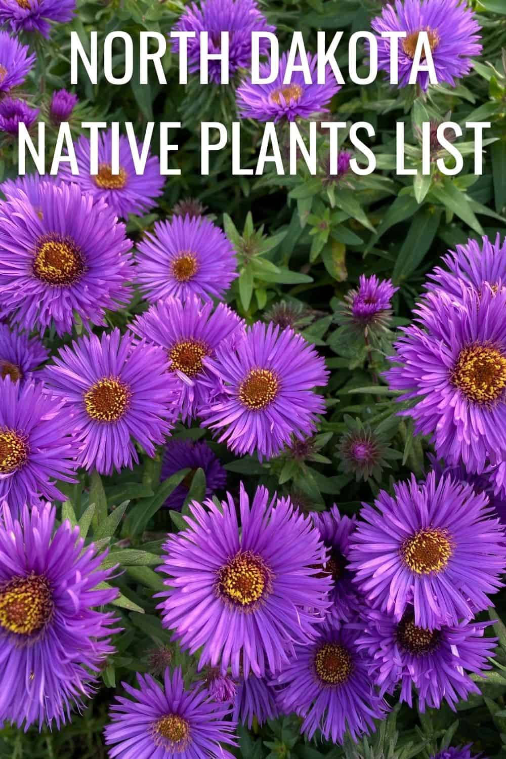 North Dakota native plants list