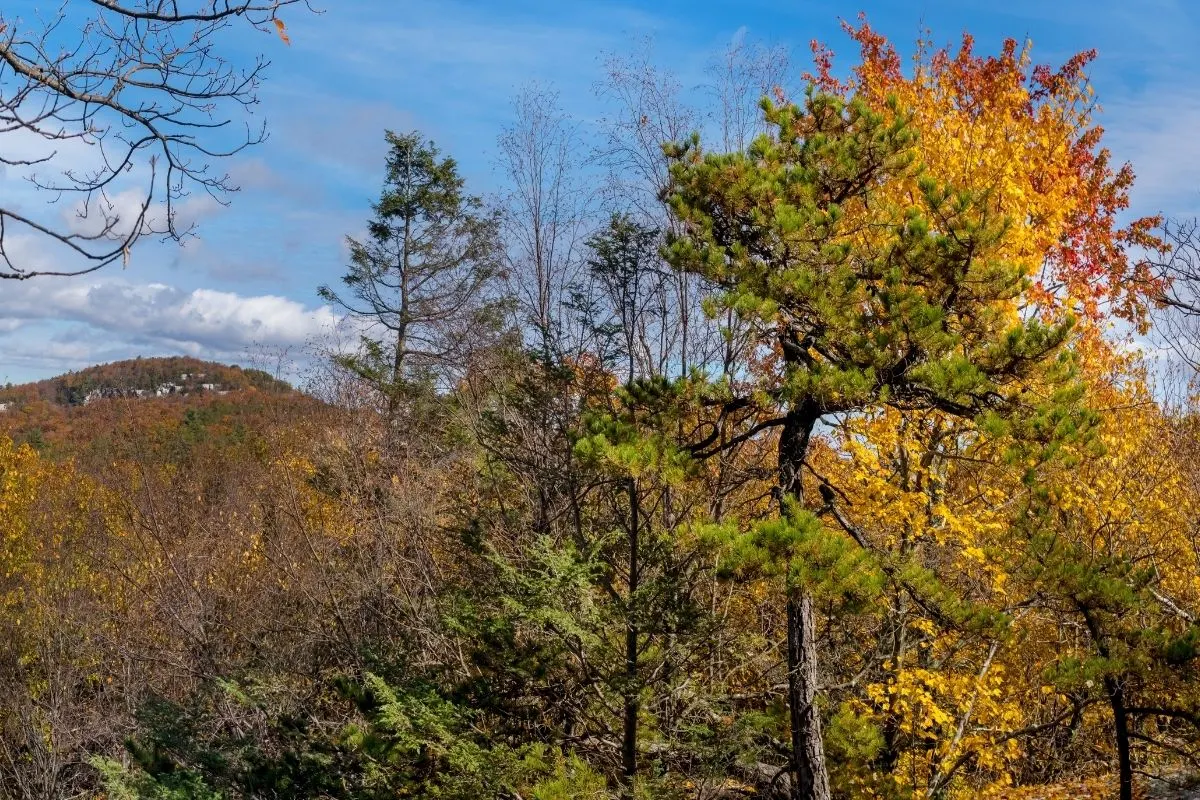 Talcott Mountain State Park in the fall