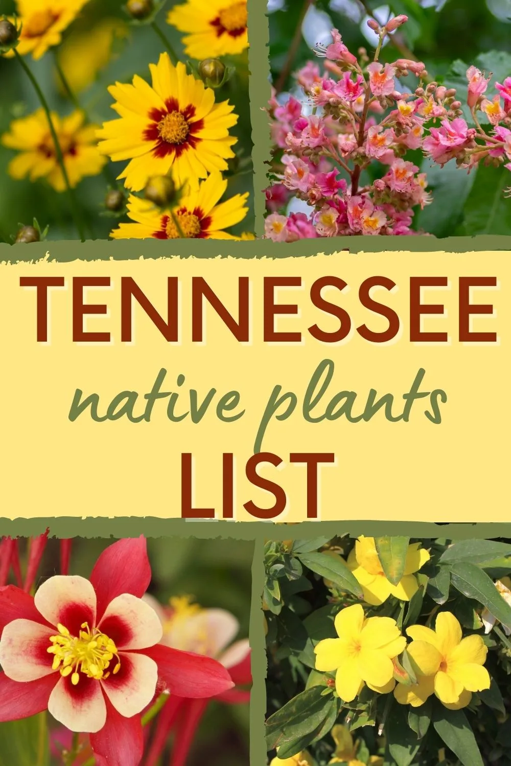 Tennessee native plants list