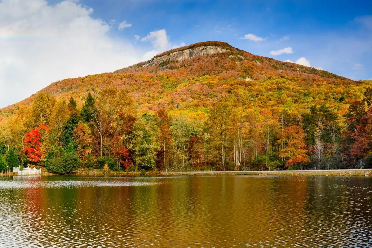 fall colors at Yonah Mountain