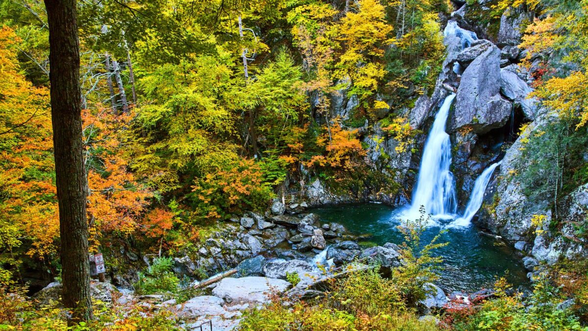 Autumn foliage by a waterfall.