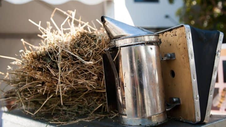 Bee Smoker Fuel Tips: 5 Things You Should Not Put In A Bee Smoker (And 8 You Should!)