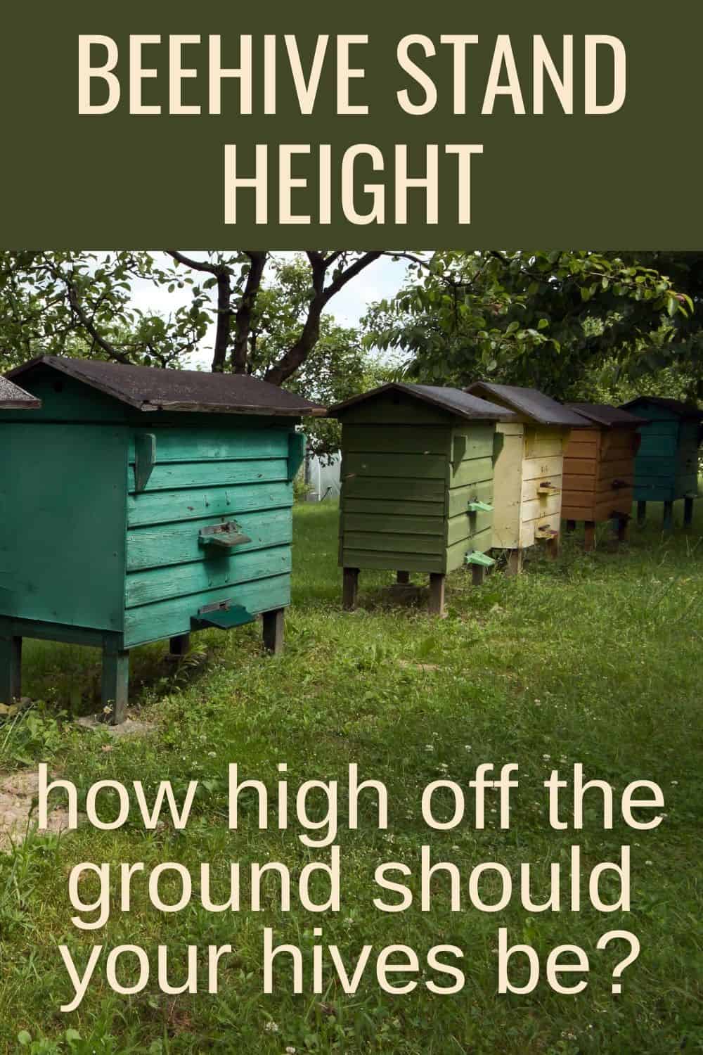 Beehive stand height: how high off the ground should your hives be