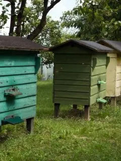 beehives sitting on legs
