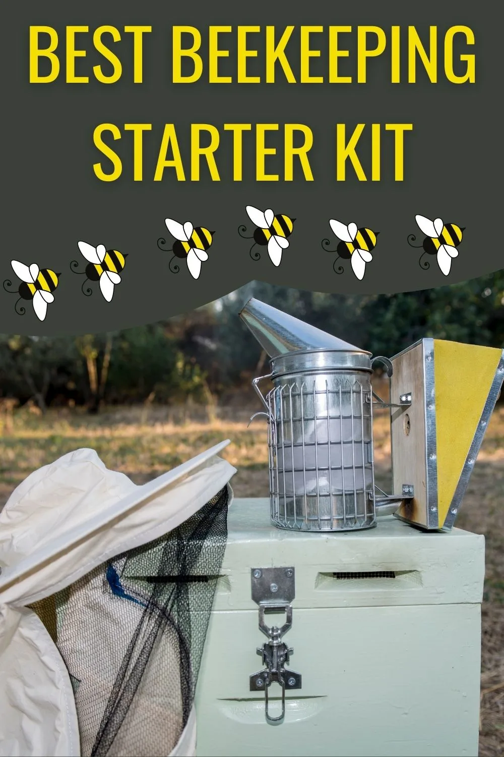 Best beekeeping starter kit