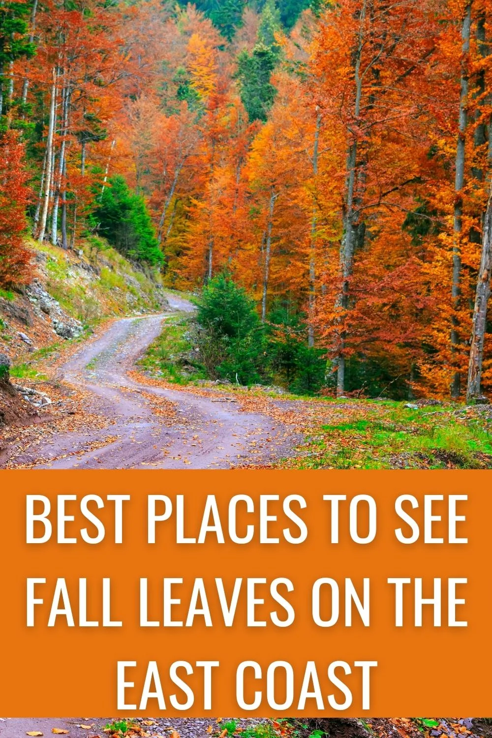 Best places to see fall leaves on the East Coast