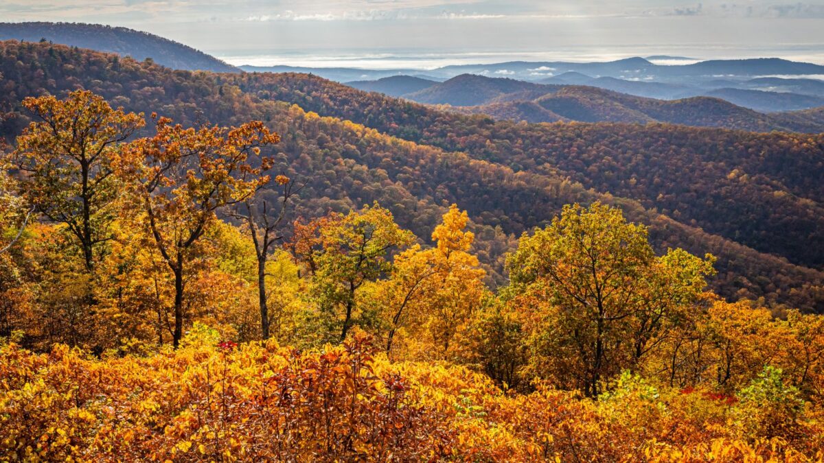 View of Shenandoah National Park and the Blue Ridge Mountains.