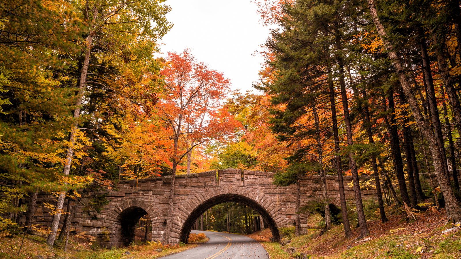 Bridge surrounded by fall foliage in Acadia National Park, Maine.
