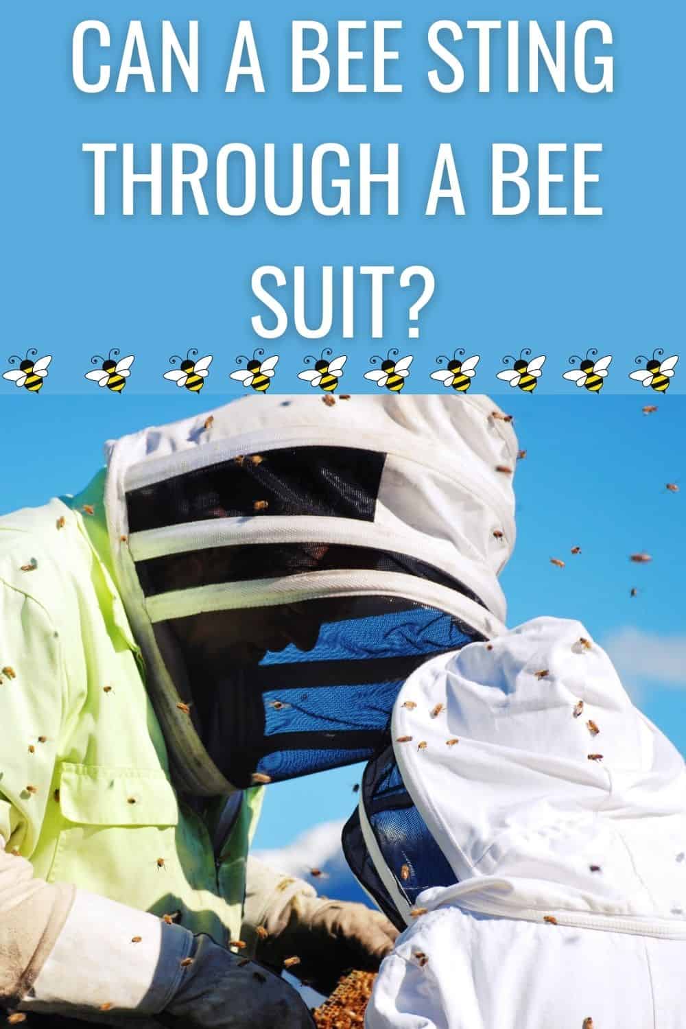 Can a bee sting through a bee suit?