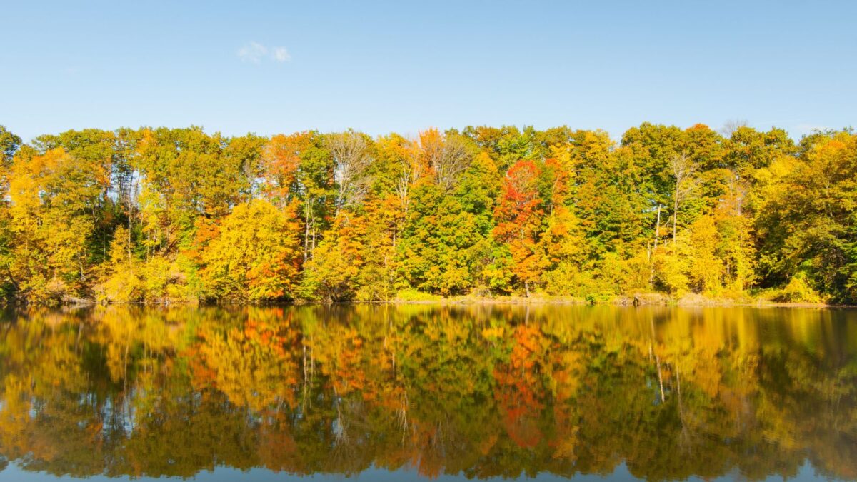 View across beautiful Connecticut River lined by autumn foliage.
