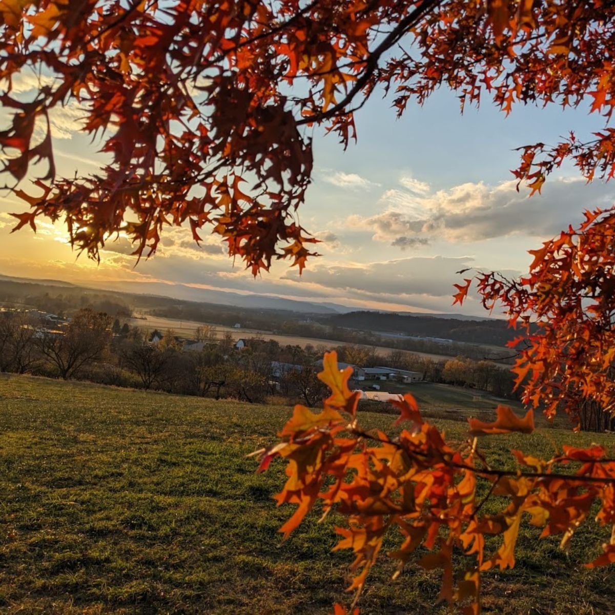 A beautiful fall scene in Virginia.