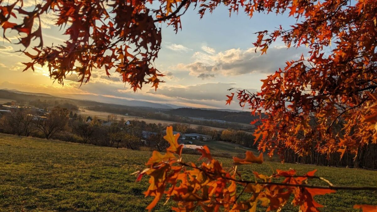 A beautiful fall scene in Virginia.