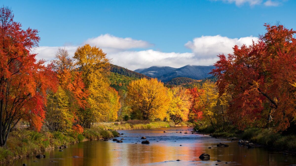 fall landscape in Adirondacks NY.
