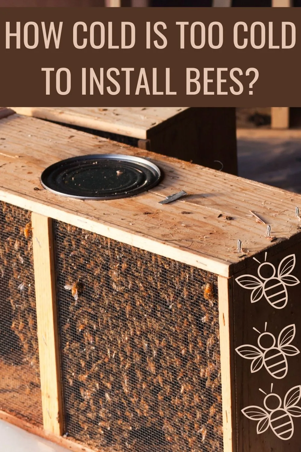 How cold is too cold to install bees
