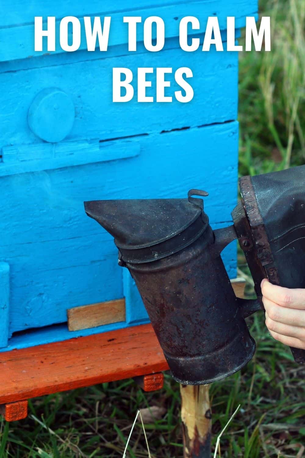 How to calm bees