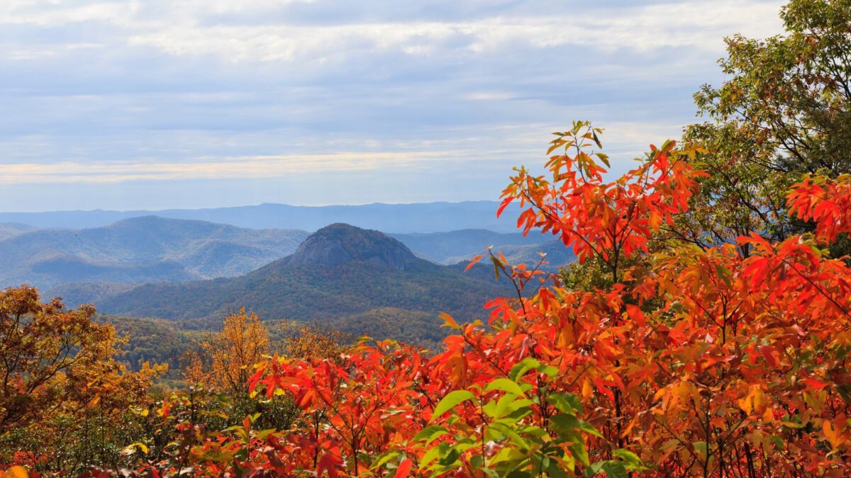 Looking Glass Rock on the Blue Ridge Parkway NC.