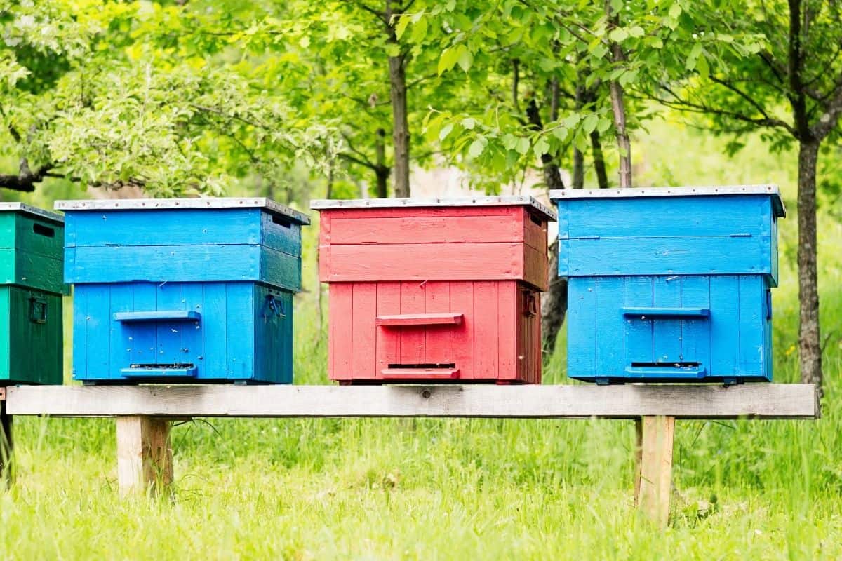 painted beehives