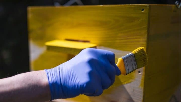 Can You Paint A Beehive With Bees In It? 8 Tips To Do It Right