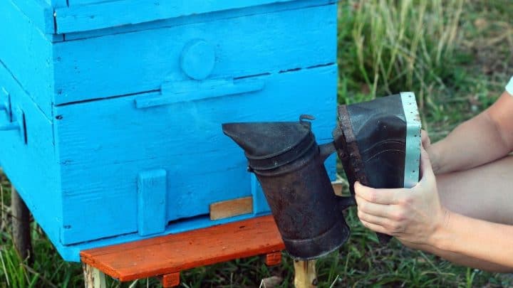 How To Calm Bees Before Inspecting The Hive
