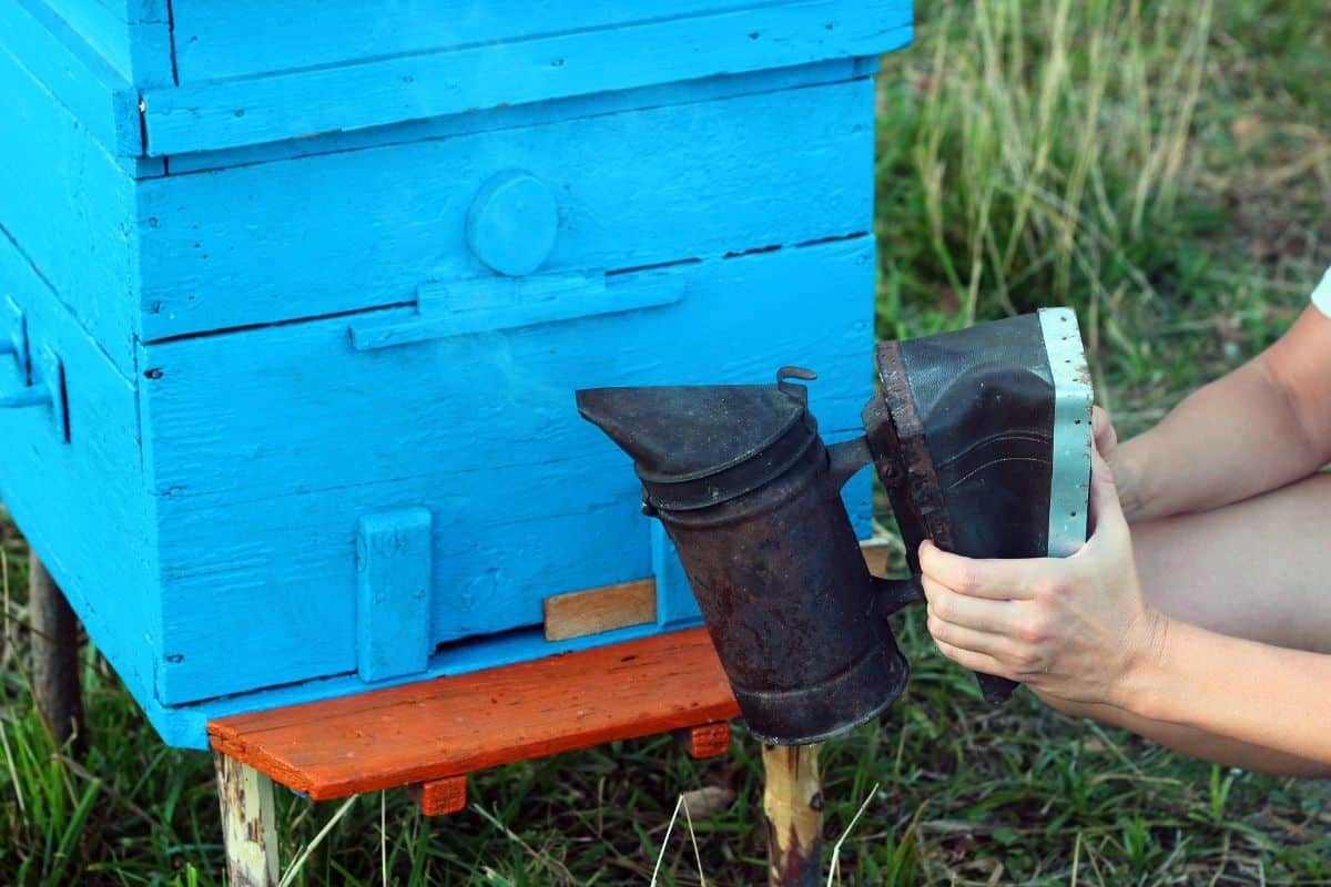 smoking bee hive