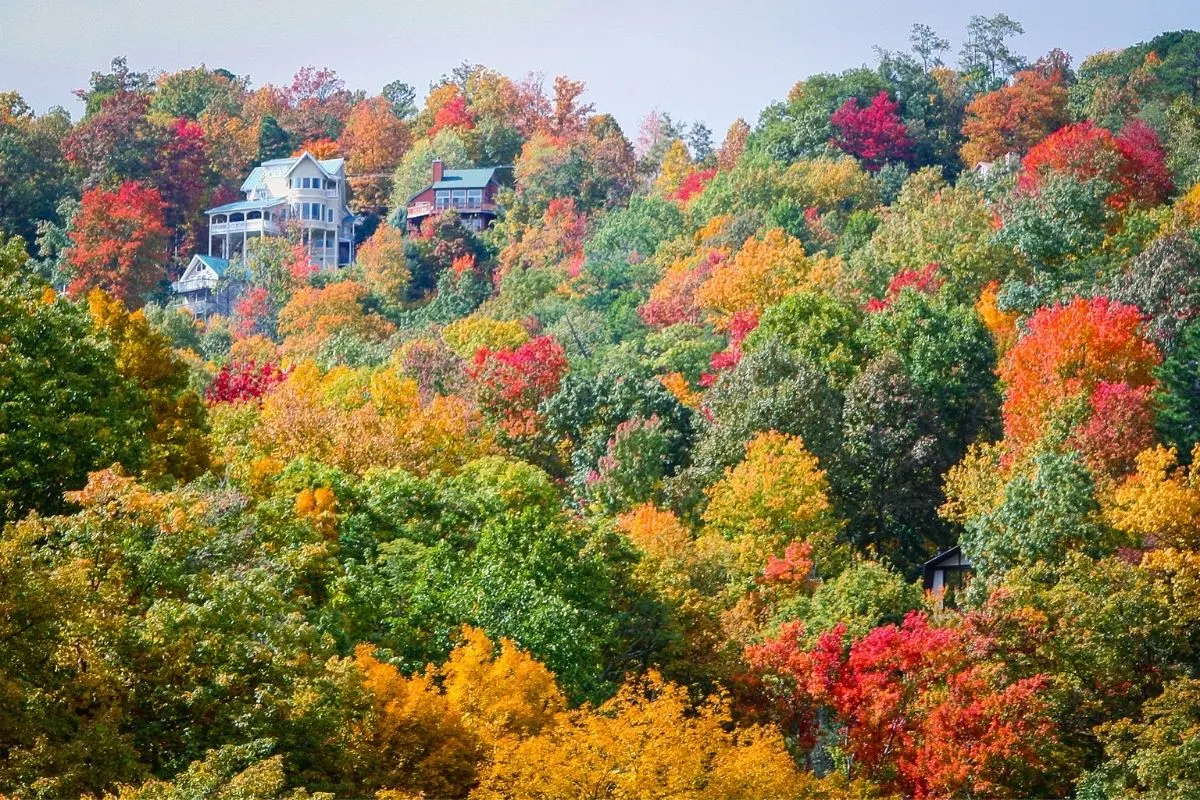Tennessee fall colors