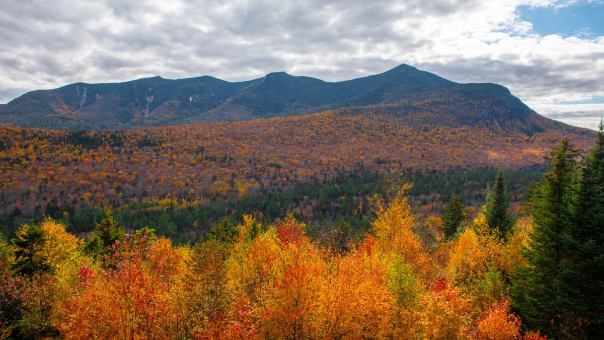 Fall colors in the White Mountains, NH.