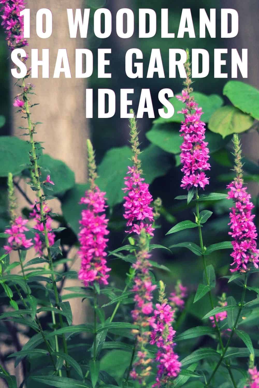 10 woodland shade garden ideas