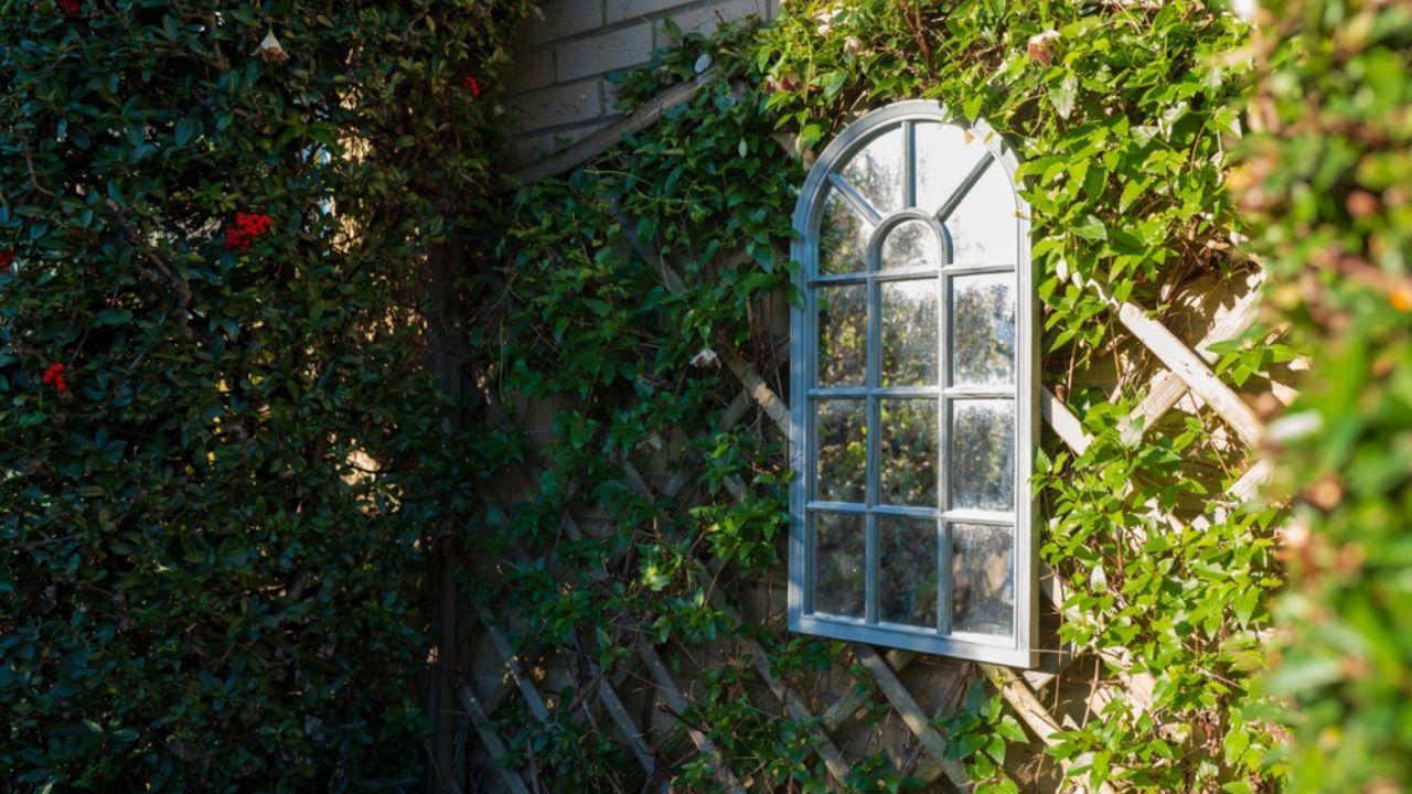 Ornate garden mirror giving the illusion of a arched window seen against strong winter sun on a wall of grape vines.