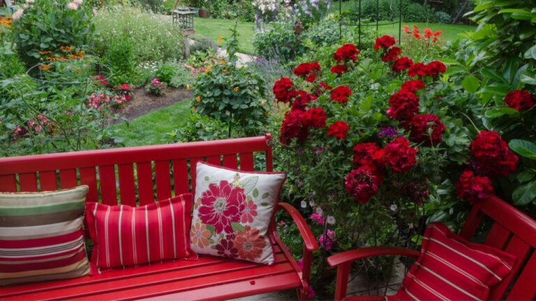 Overlooking a colorful backyard garden with casual red furniture and geraniums.in the foreground.