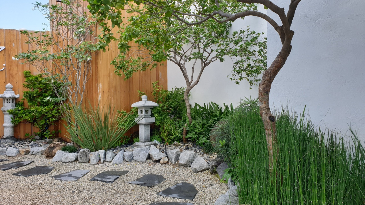 back yard zen garden decoration