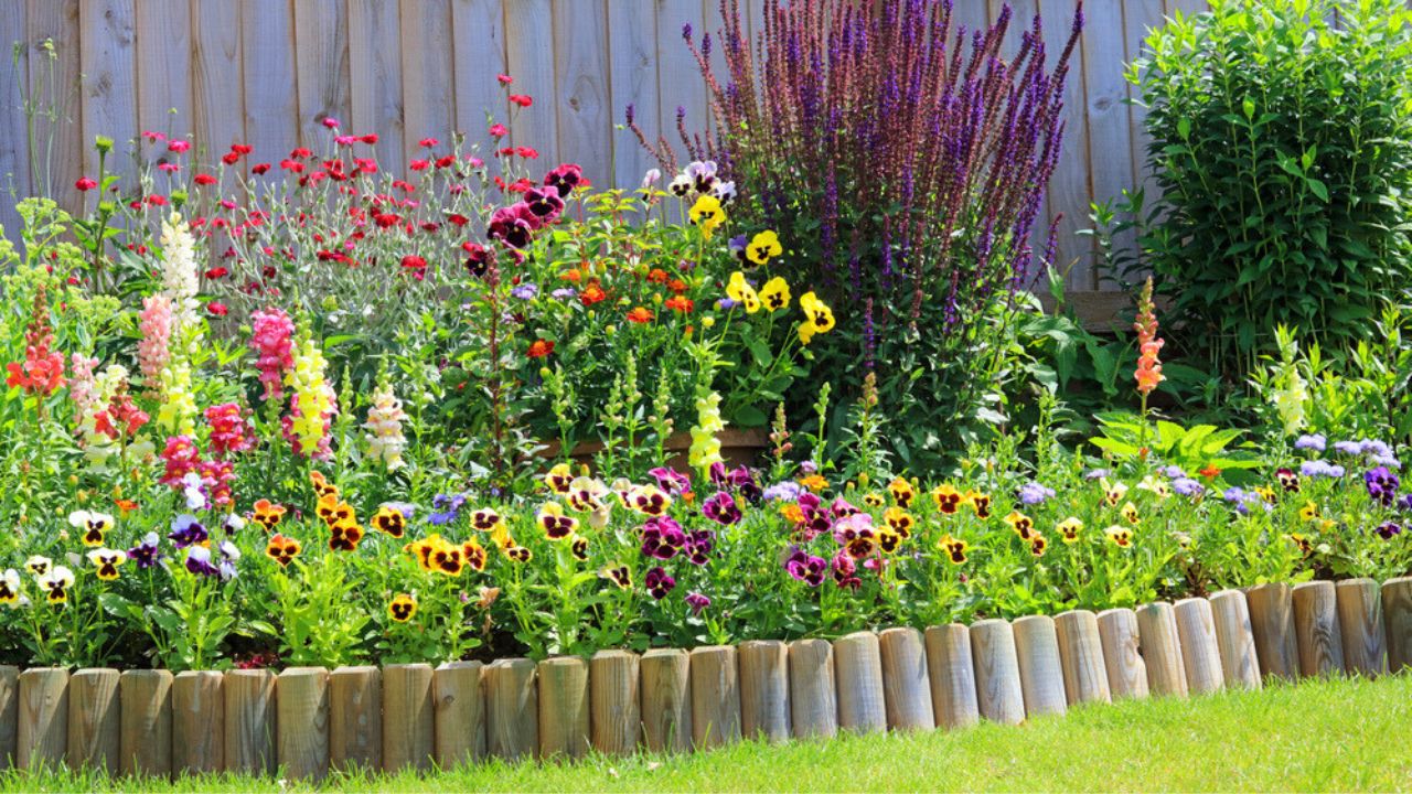 Various Colourful Flowers In A Garden Border With Wooden Fencing And Log Roll Lawn Edging.