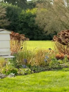 white beehive in the backyard