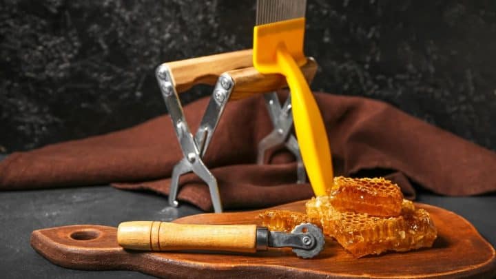Mann Lake Beekeeping Supplies Every Beekeeper Needs
