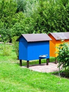 bright colored bee hives in the backyard