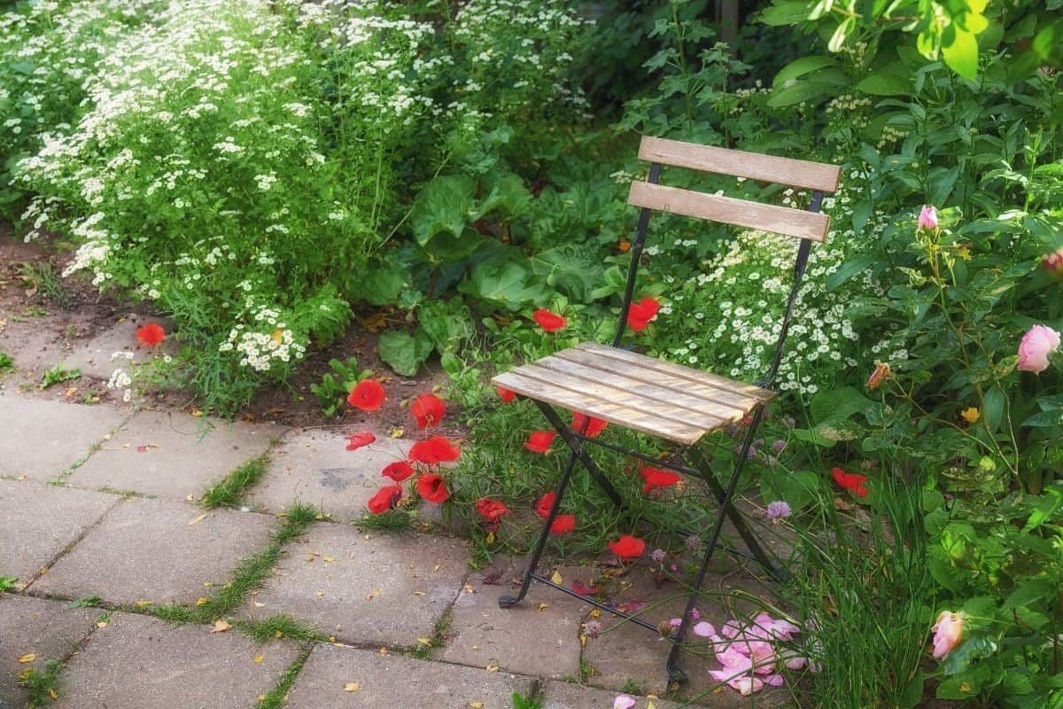 wooden chair in a corner garden
