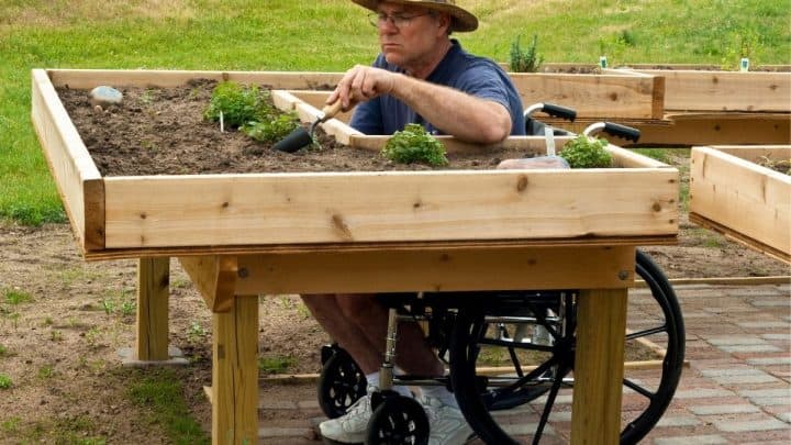 Gardening For People With Disabilities