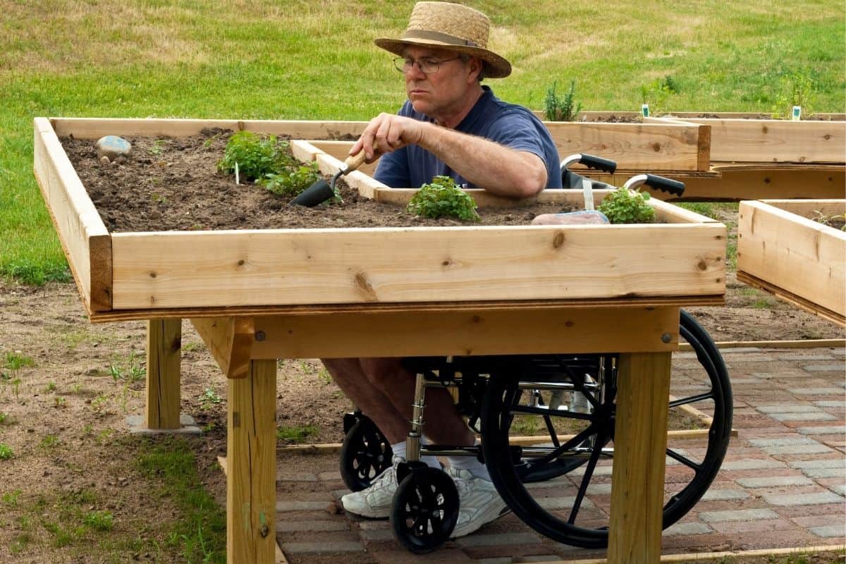 gardening from wheelchair