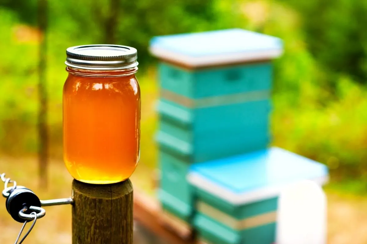 a glass jar of honey with the beehive in the background