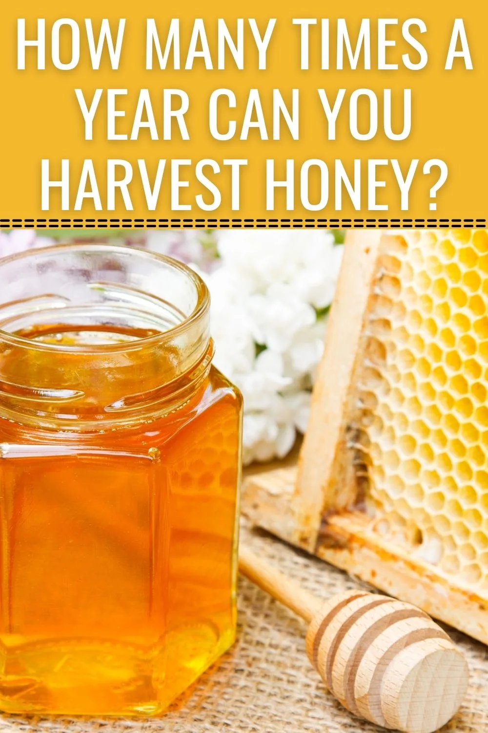 how many times a year can you harvest honey?