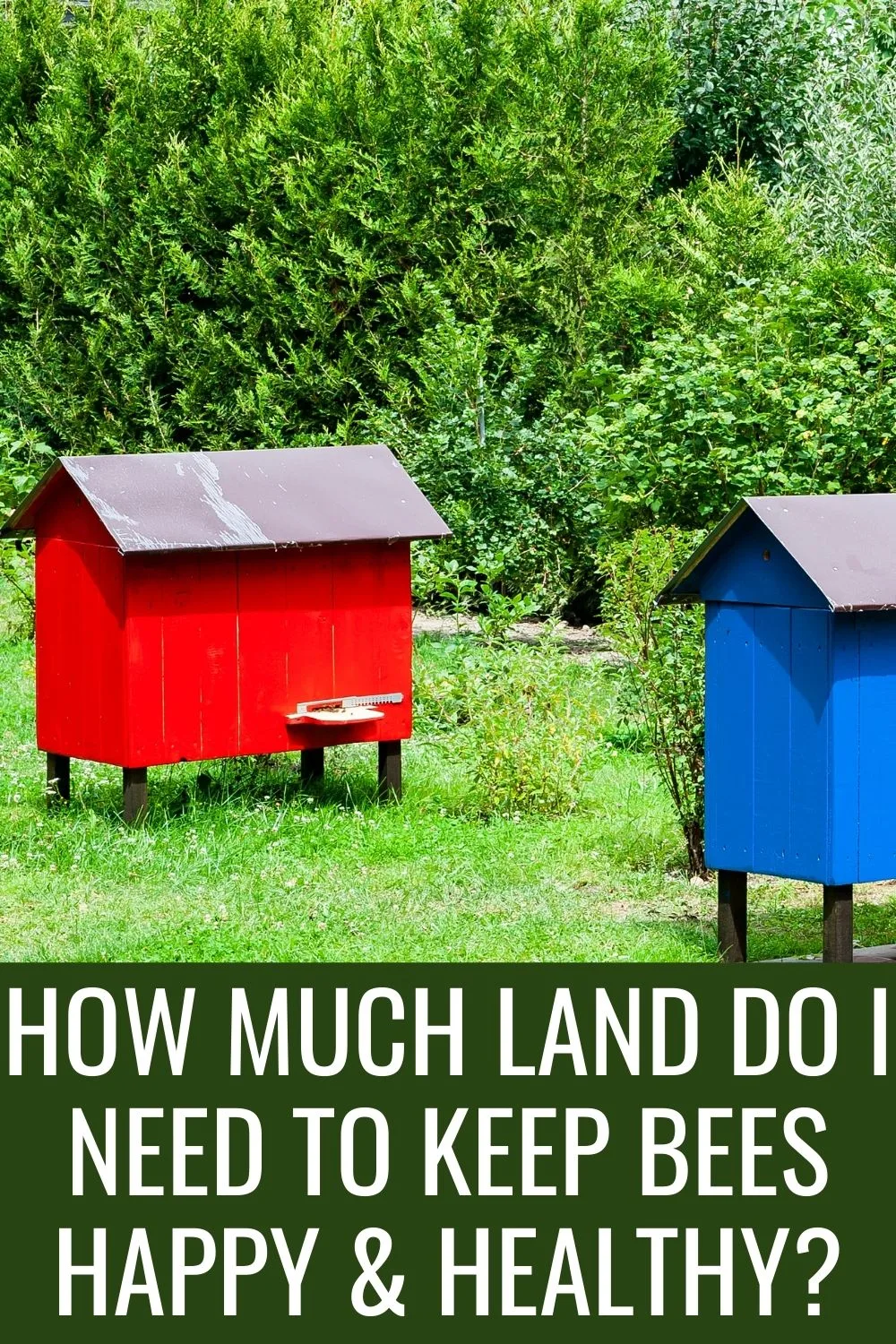 How much land do I need to keep bees happy and healthy?