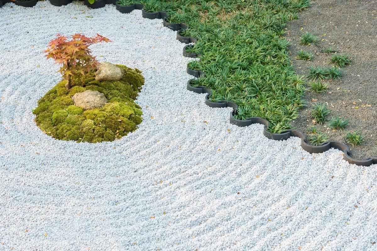low growing plants in a zen garden