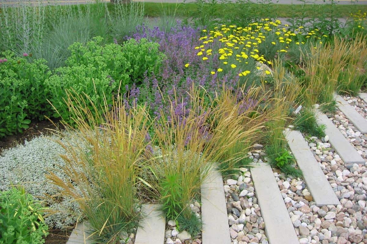 peaceful garden