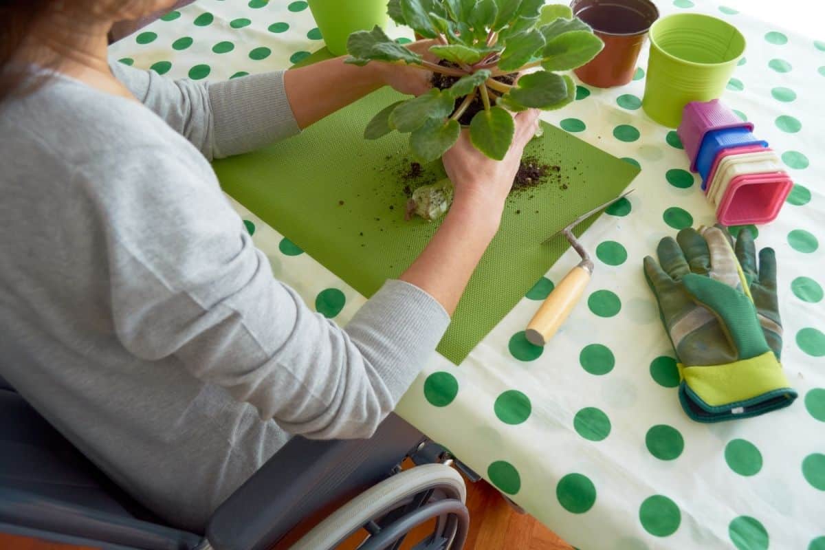 woman in wheelchair repotting a plant