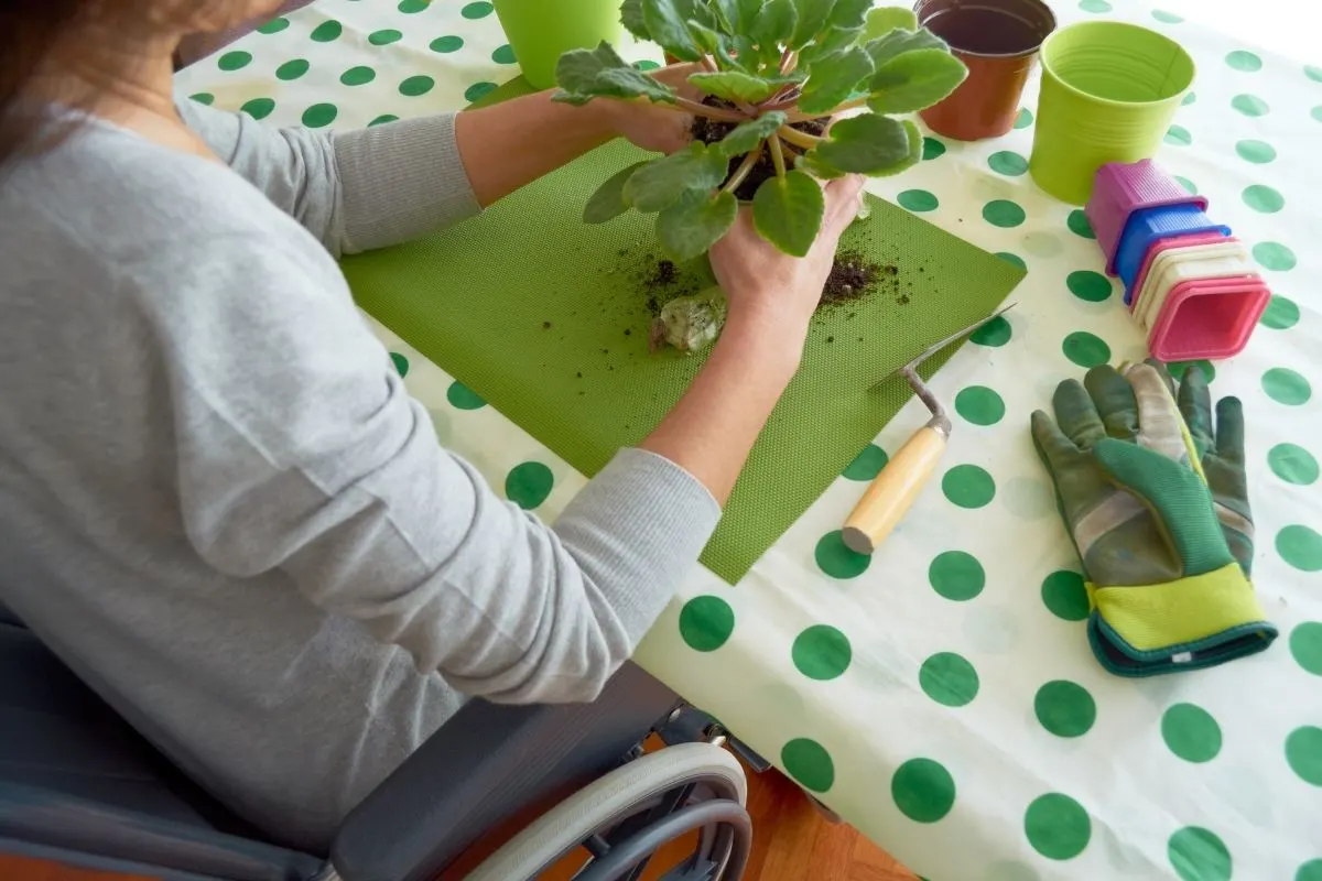 woman in wheelchair repotting a plant