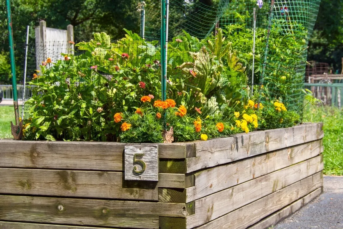 tall raised garden bed with flowers